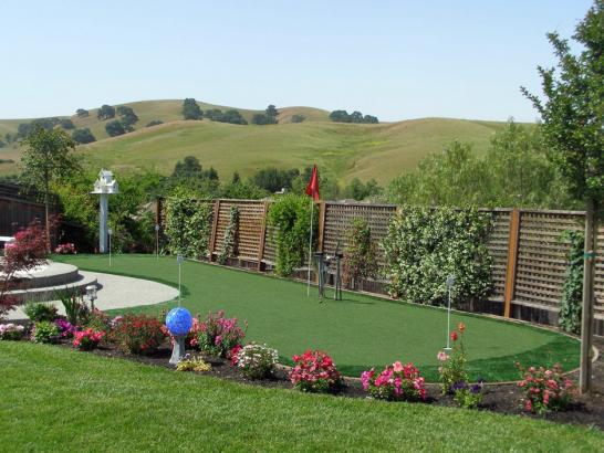 Artificial Grass Photos: Fake Turf Richland, Washington Backyard Playground, Backyard Design