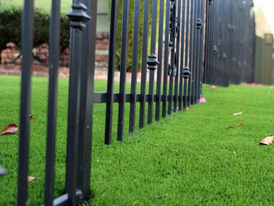 Artificial Grass Photos: Fake Turf West Valley, Washington Landscape Design, Landscaping Ideas For Front Yard