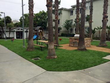 Artificial Grass Photos: Fake Turf White Center, Washington Roof Top, Commercial Landscape