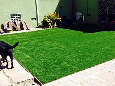 Artificial Grass Photos: Fake Turf Yarrow Point, Washington Landscape Rock, Backyard Ideas