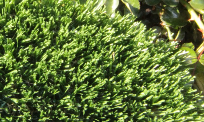 Hollow Blade-73 syntheticgrass Artificial Grass Washington