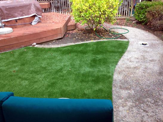 Artificial Grass Photos: Faux Grass Bellingham, Washington Lawns, Backyard Designs