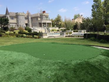 Artificial Grass Photos: Faux Grass Bothell, Washington Backyard Playground, Front Yard