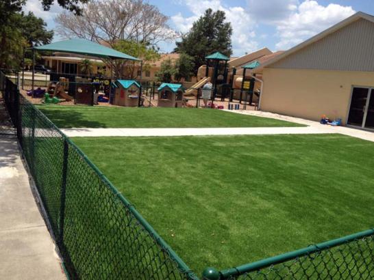 Artificial Grass Photos: Faux Grass Bremerton, Washington Landscaping, Commercial Landscape