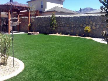 Artificial Grass Photos: Faux Grass Cle Elum, Washington City Landscape, Backyard Garden Ideas