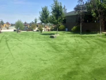Artificial Grass Photos: Faux Grass College Place, Washington City Landscape, Parks