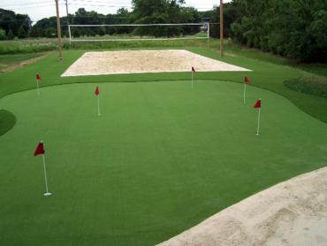 Artificial Grass Photos: Faux Grass Fairwood, Washington Indoor Putting Greens, Small Backyard Ideas