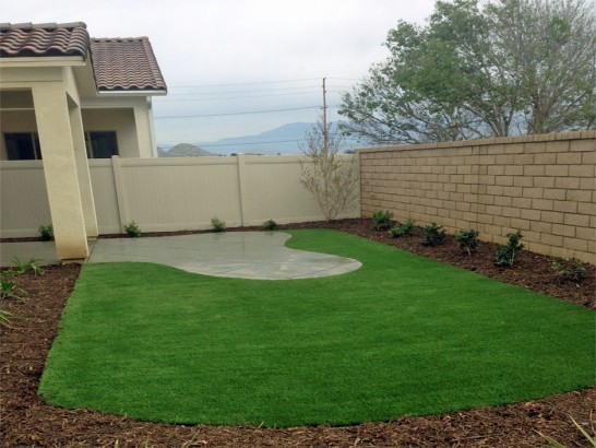 Artificial Grass Photos: Faux Grass Felida, Washington Landscape Design, Backyard Designs