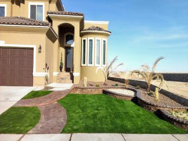 Artificial Grass Photos: Faux Grass Kenmore, Washington Roof Top, Front Yard Landscaping