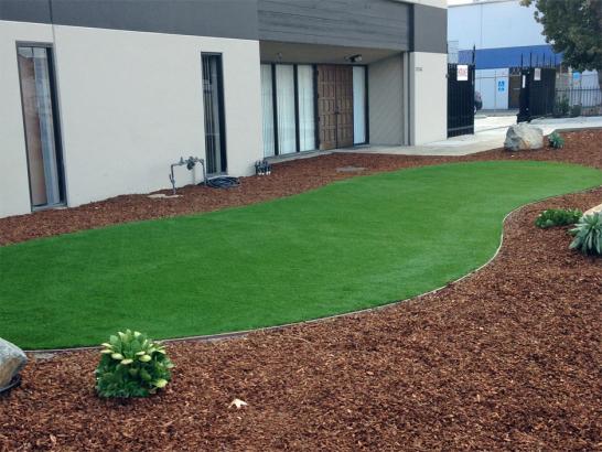 Artificial Grass Photos: Faux Grass Ketron, Washington Landscaping, Commercial Landscape