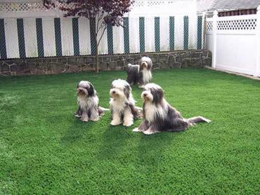 Artificial Grass Photos: Faux Grass Malott, Washington Dog Run,  Dog Kennels