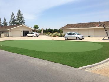 Artificial Grass Photos: Faux Grass Ocean Shores, Washington Putting Green Turf, Front Yard Landscape Ideas