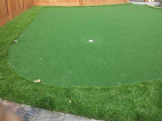 Artificial Grass Photos: Faux Grass Redmond, Washington Indoor Putting Green