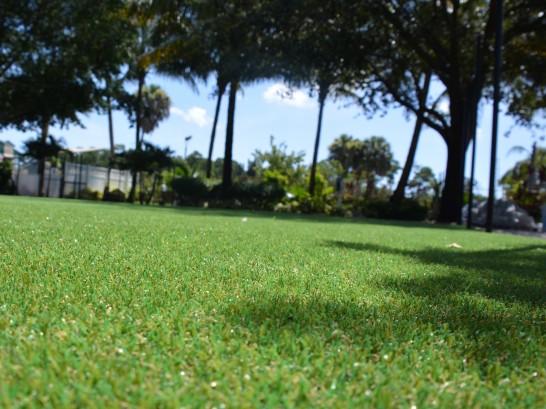 Artificial Grass Photos: Faux Grass West Clarkston-Highland, Washington Roof Top, Parks