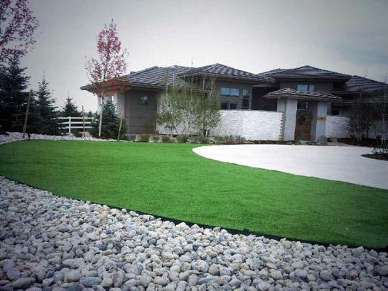 Artificial Grass Photos: Grass Carpet Aberdeen, Washington Lawns, Front Yard Landscape Ideas