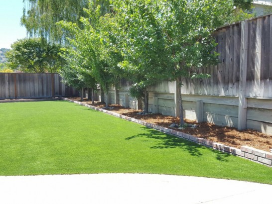 Grass Carpet Ahtanum, Washington Landscaping Business, Backyard Ideas artificial grass