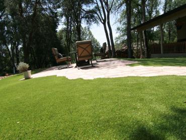Artificial Grass Photos: Grass Carpet Blaine, Washington Lawn And Garden, Backyard Landscaping