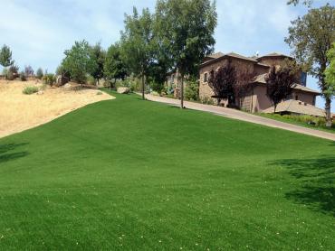 Artificial Grass Photos: Grass Carpet Brier, Washington Landscape Photos, Front Yard Landscaping