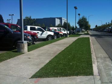 Artificial Grass Photos: Grass Carpet Camas, Washington Backyard Playground, Commercial Landscape