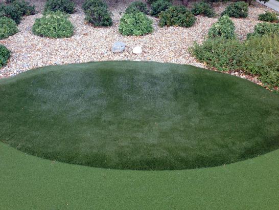 Artificial Grass Photos: Grass Carpet Chehalis Village, Washington Home Putting Green