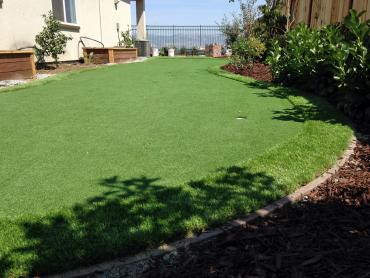 Artificial Grass Photos: Grass Carpet Chehalis, Washington Landscape Photos, Backyard Landscape Ideas