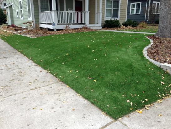 Artificial Grass Photos: Grass Carpet Chelan Falls, Washington Lawn And Landscape, Front Yard Landscape Ideas