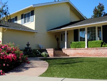 Artificial Grass Photos: Grass Carpet Cohassett Beach, Washington Rooftop, Front Yard