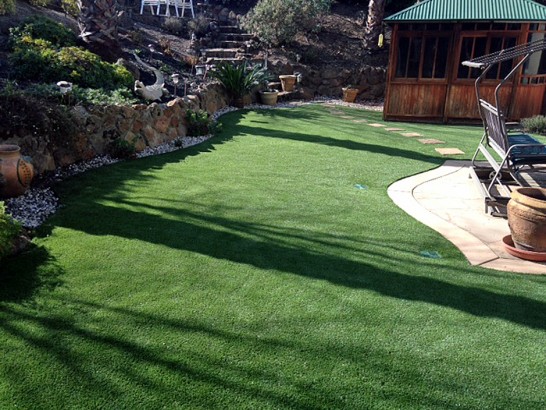 Artificial Grass Photos: Grass Carpet Dishman, Washington Landscape Photos, Backyard