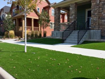 Artificial Grass Photos: Grass Carpet Edmonds, Washington Landscaping Business, Small Front Yard Landscaping