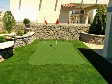 Artificial Grass Photos: Grass Carpet Freeland, Washington Backyard Putting Green, Backyard