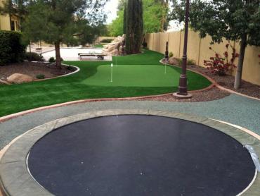 Artificial Grass Photos: Grass Carpet Goldendale, Washington Backyard Deck Ideas, Backyard Design