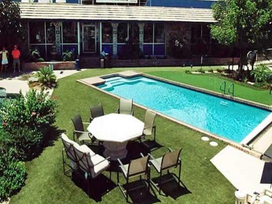 Artificial Grass Photos: Grass Carpet Hartline, Washington Garden Ideas, Pool Designs