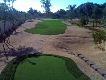 Artificial Grass Photos: Grass Carpet Indianola, Washington Office Putting Green, Backyards