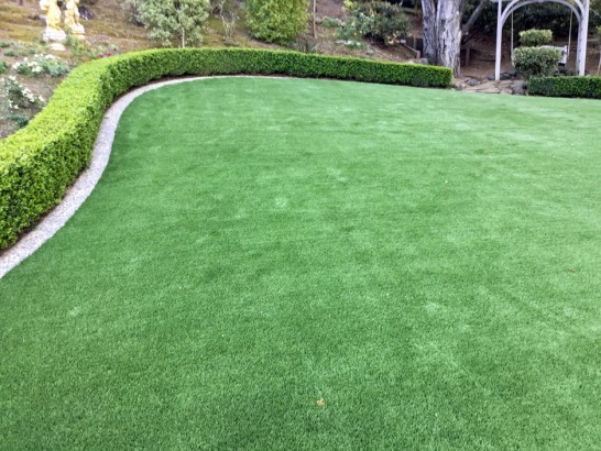 Artificial Grass Photos: Grass Carpet Normandy Park, Washington Lawn And Garden, Small Backyard Ideas