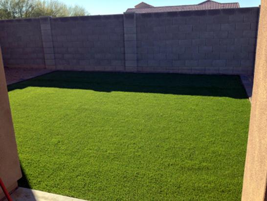 Artificial Grass Photos: Grass Carpet Oak Harbor, Washington Landscape Photos, Beautiful Backyards