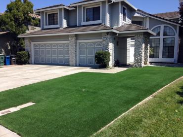 Artificial Grass Photos: Grass Carpet Orting, Washington Landscape Photos, Front Yard Design