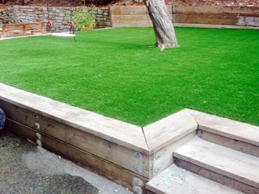 Artificial Grass Photos: Grass Carpet Palouse, Washington Lawns, Backyard Makeover