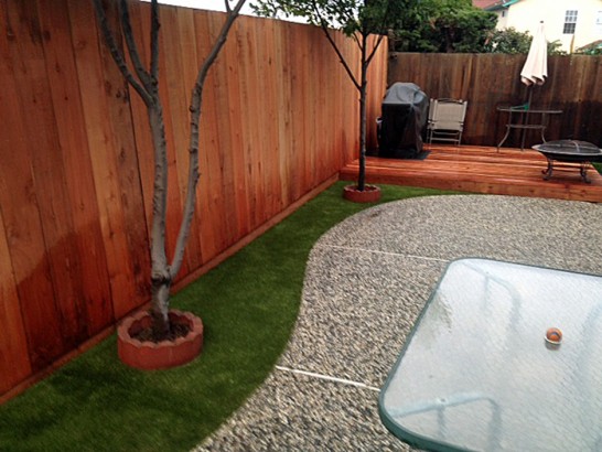 Artificial Grass Photos: Grass Carpet Shelton, Washington Paver Patio, Backyard Landscaping