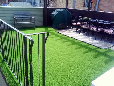 Artificial Grass Photos: Grass Carpet Shelton, Washington Rooftop, Backyard Landscape Ideas