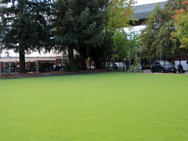 Artificial Grass Photos: Grass Carpet Swede Heaven, Washington Landscape Design, Commercial Landscape