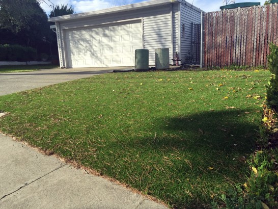 Artificial Grass Photos: Grass Carpet Tulalip, Washington City Landscape, Front Yard Landscaping