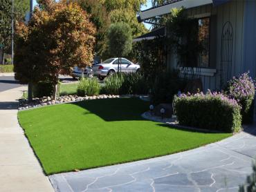 Artificial Grass Photos: Grass Carpet Union, Washington Landscape Design, Landscaping Ideas For Front Yard