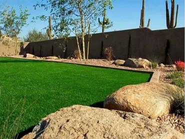 Artificial Grass Photos: Grass Installation Albion, Washington Landscaping Business, Backyard Landscaping