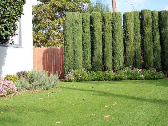 Artificial Grass Photos: Grass Installation Cottage Lake, Washington Landscaping, Landscaping Ideas For Front Yard