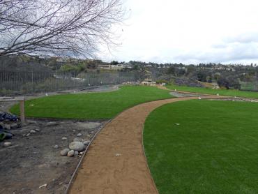 Artificial Grass Photos: Grass Installation Dayton, Washington Landscape Photos