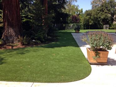 Artificial Grass Photos: Grass Installation Manchester, Washington City Landscape, Front Yard Landscape Ideas