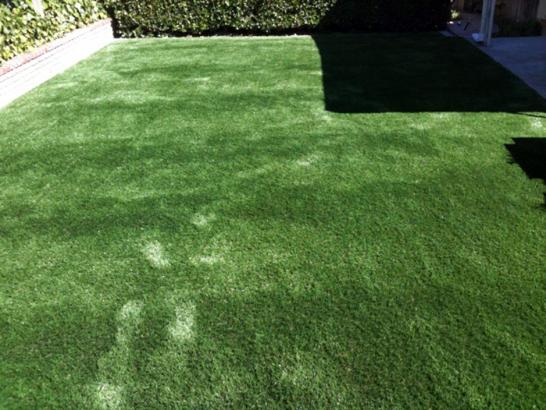 Artificial Grass Photos: Grass Installation Neilton, Washington Pet Paradise, Backyard Landscaping