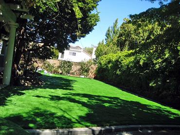 Artificial Grass Photos: Grass Installation Port Angeles, Washington Landscape Ideas, Backyard Garden Ideas