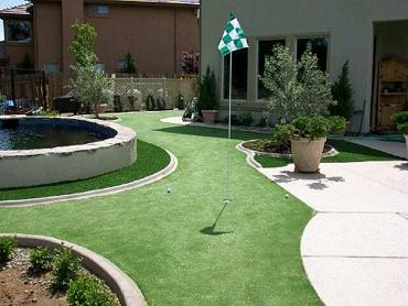 Artificial Grass Photos: Grass Installation Ravensdale, Washington Office Putting Green, Backyard