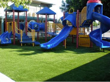 Artificial Grass Photos: Grass Installation Roslyn, Washington Landscape Ideas, Commercial Landscape